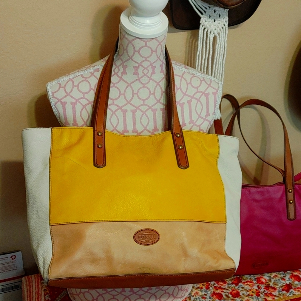 Fossil  bag